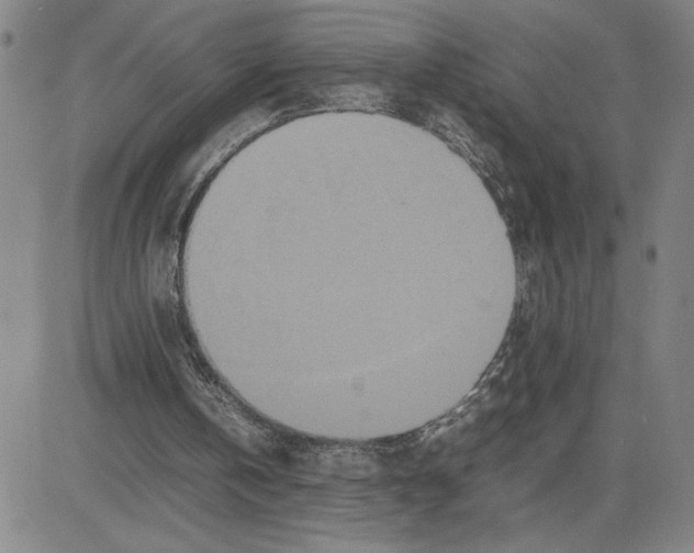 X0000080110146200701051338