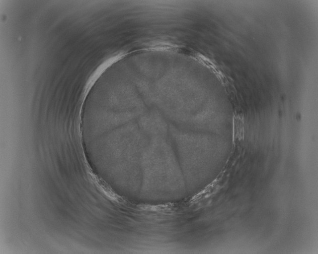 X0000080110147200701051338