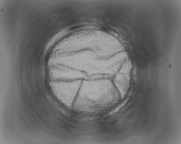 X0000080110149200701051338