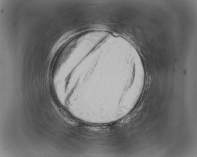 X0000080110151200701051338