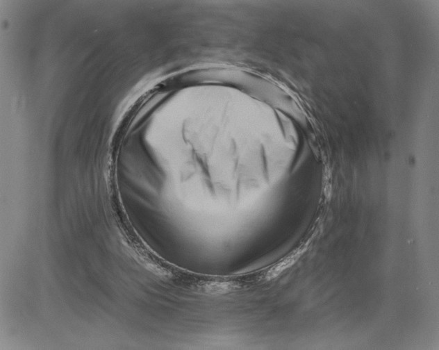 X0000080110152200701051338