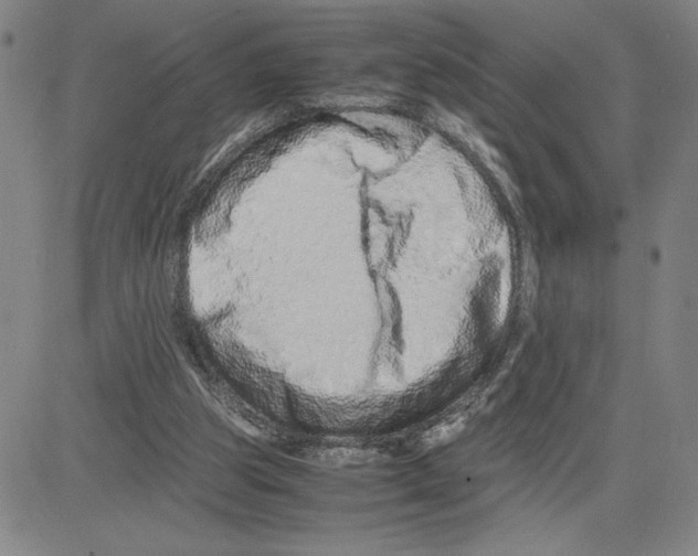 X0000080110153200701051338