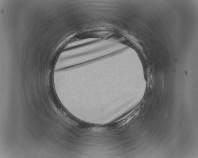 X0000080110154200701051338