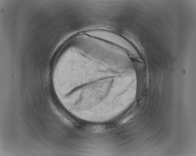 X0000080110156200701051338