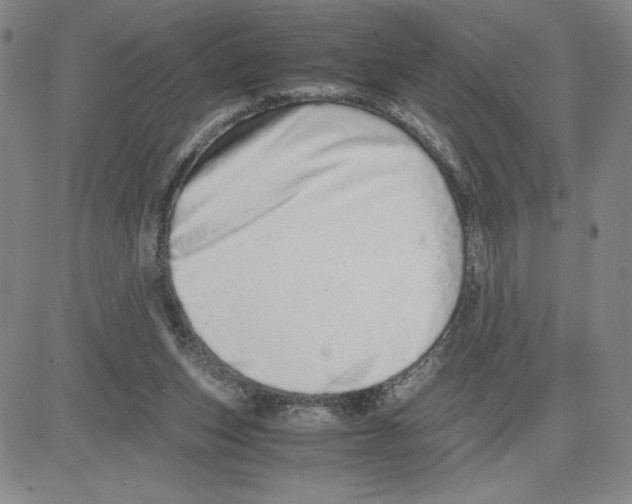 X0000080110159200701051338