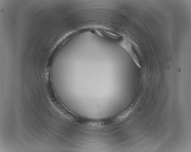 X0000080110160200701051338