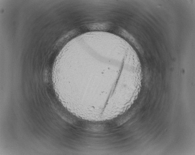 X0000080110161200701051338