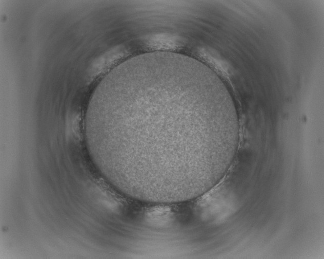 X0000080110162200701051338