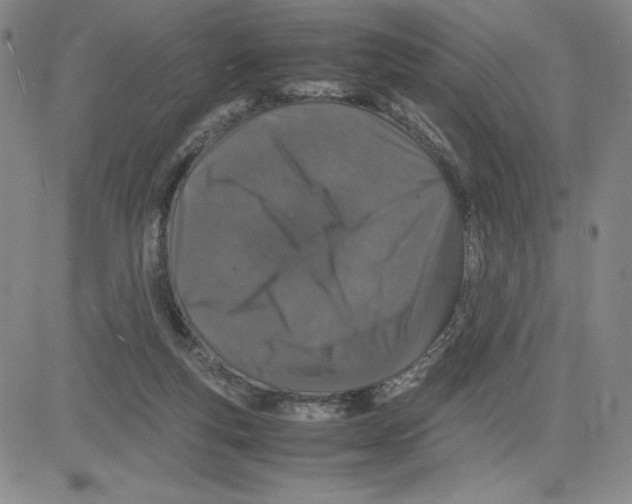 X0000080110163200701051338