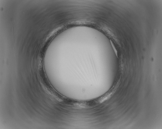 X0000080110164200701051338