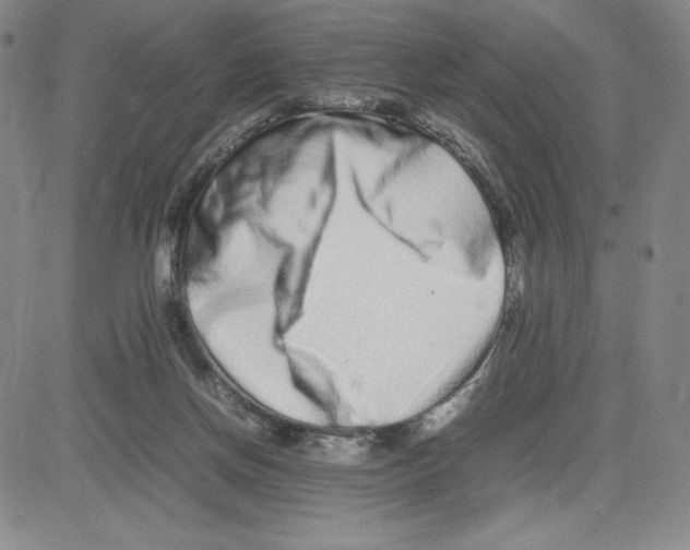 X0000080110166200701051338