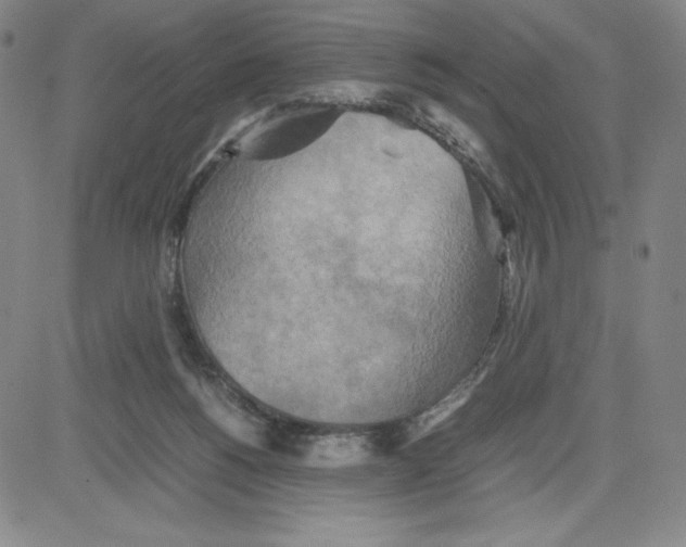 X0000080110168200701051338