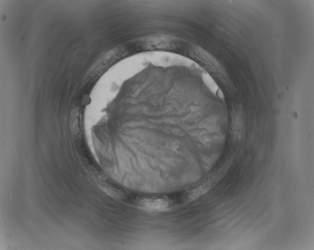 X0000080110169200701051338