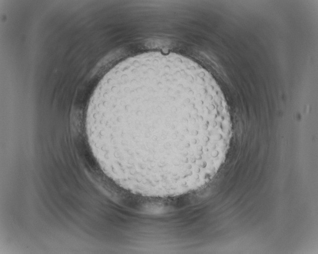 X0000080110171200701051338