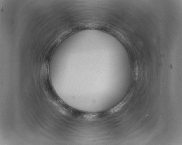 X0000080110172200701051338