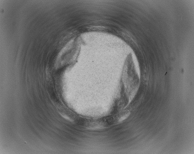 X0000080110173200701051338