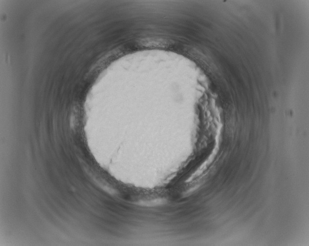 X0000080110175200701051338