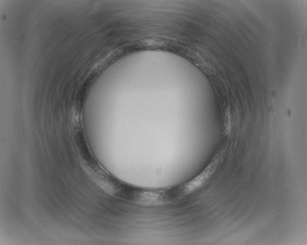 X0000080110176200701051338