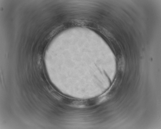 X0000080110178200701051338