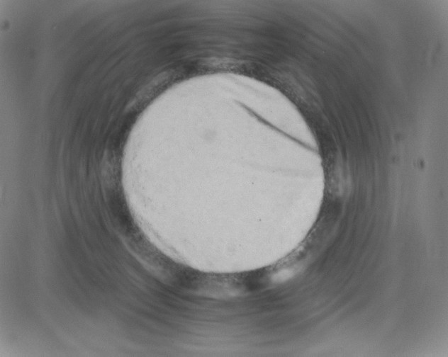 X0000080110179200701051338