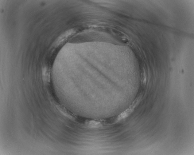 X0000080110180200701051338