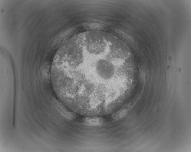 X0000080110181200701051338