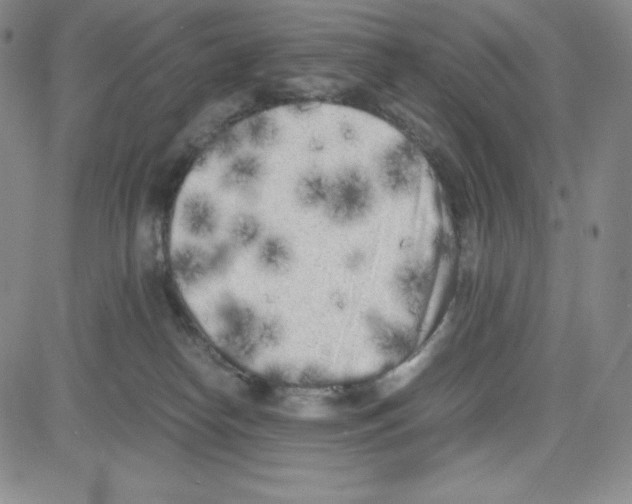 X0000080110182200701051338