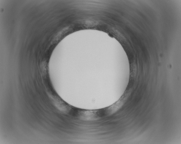 X0000080110184200701051339