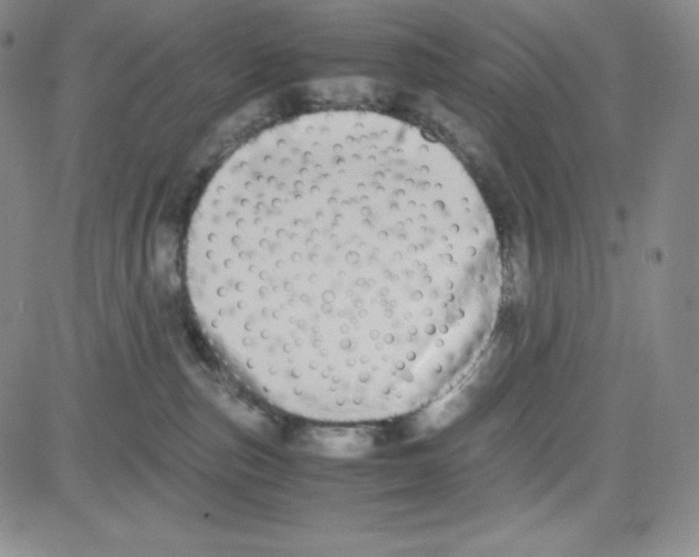 X0000080110187200701051339