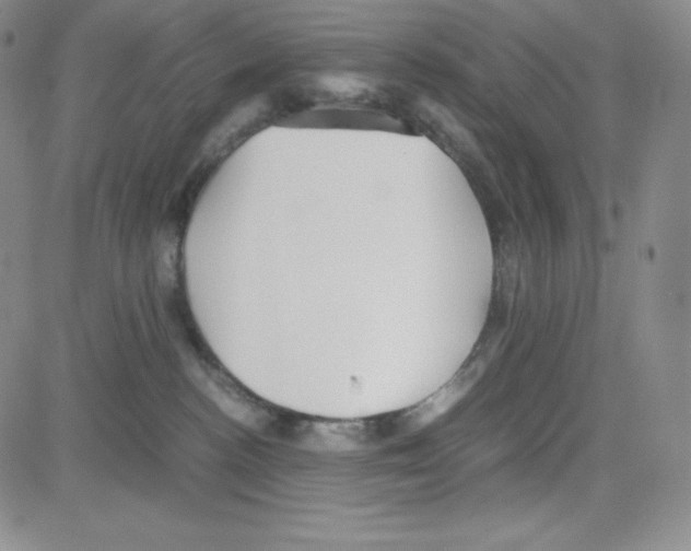 X0000080110188200701051339