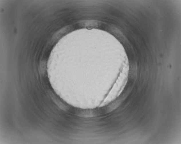 X0000080110189200701051339