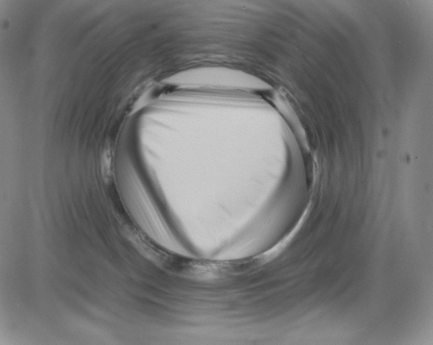 X0000080110190200701051339