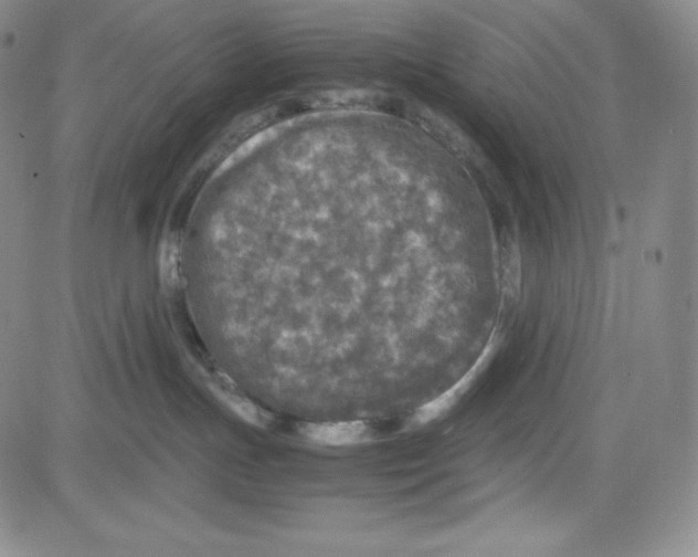 X0000080110191200701051339