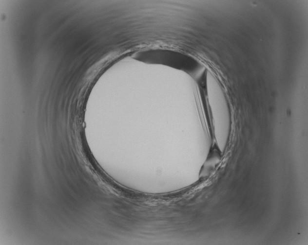 X0000080110193200701051338