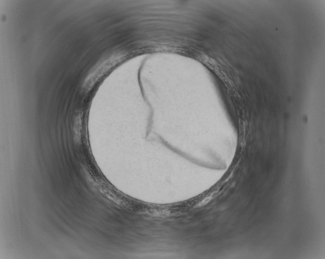 X0000080110194200701051338