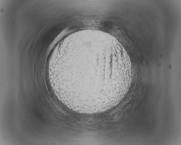 X0000080110195200701051338