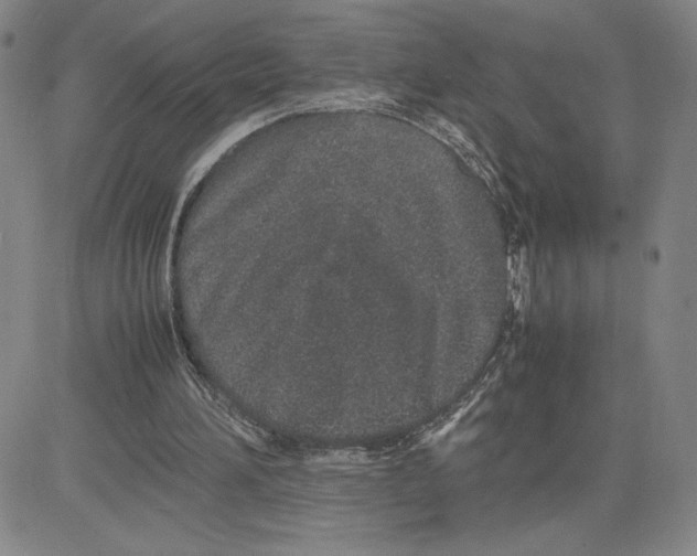 X0000080110196200701051338