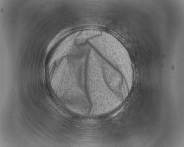 X0000080110198200701051338