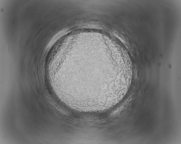 X0000080110199200701051338