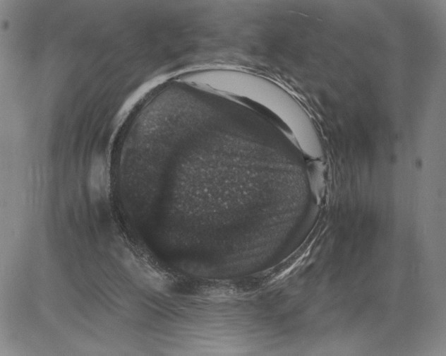 X0000080110200200701051338