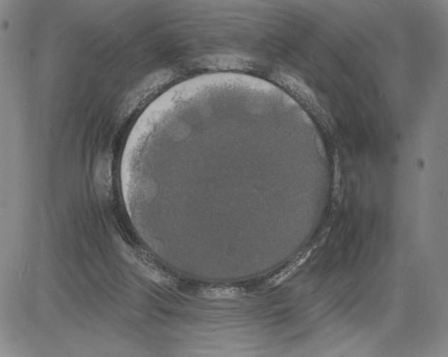 X0000080110202200701051338