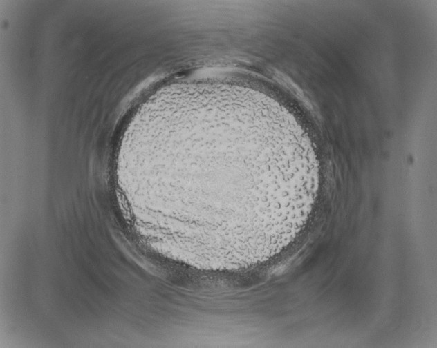 X0000080110203200701051338