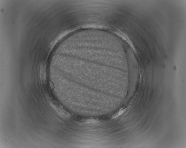 X0000080110204200701051338