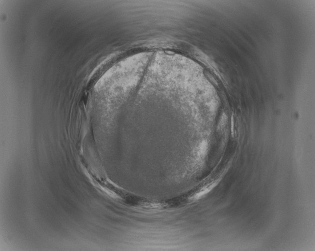 X0000080110205200701051338