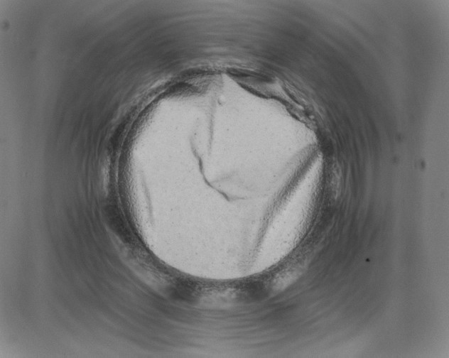 X0000080110206200701051338