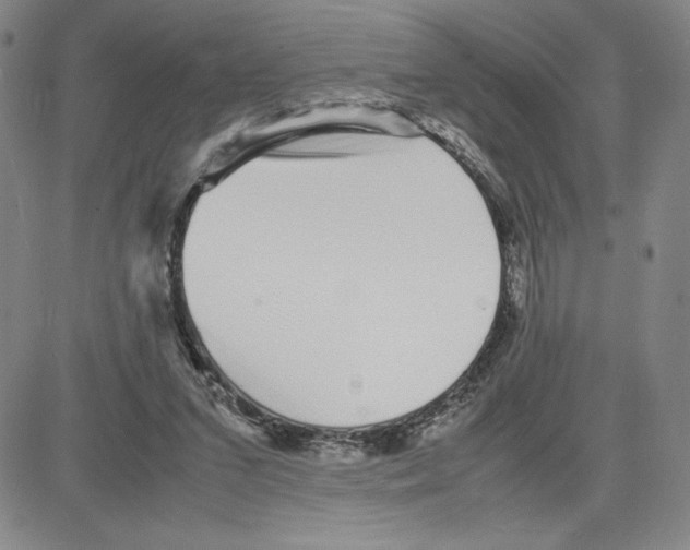 X0000080110207200701051338