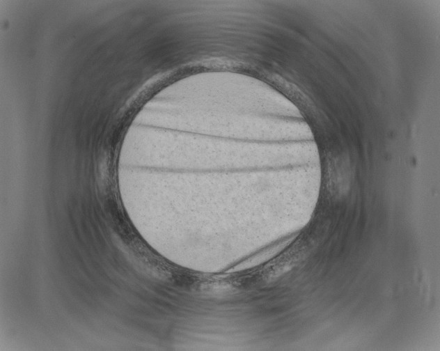 X0000080110208200701051338