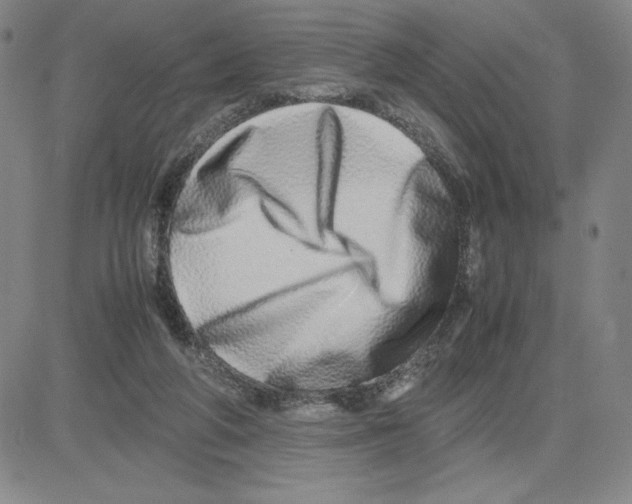 X0000080110210200701051338