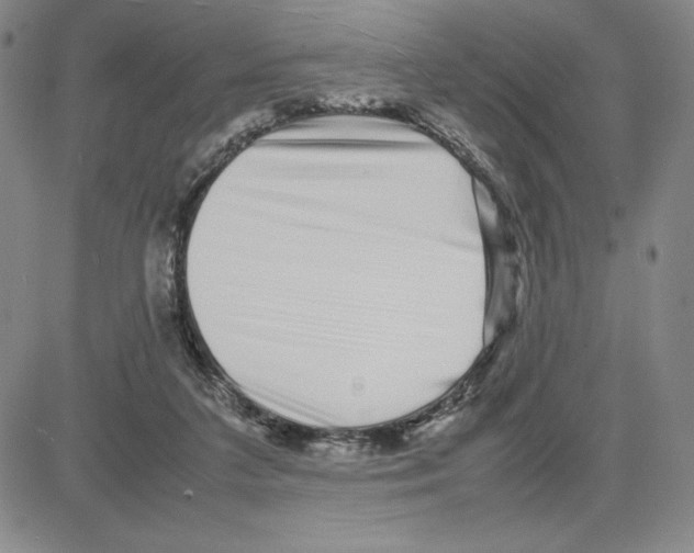 X0000080110211200701051338