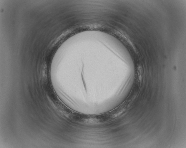 X0000080110212200701051338